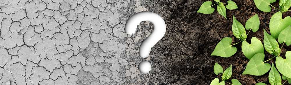 Climate change question as a dried or dry cracked land suffering from drought turning into rich moist organic earth with a growing young plant as a composite. Climate change question as a dried or dry cracked land suffering from drought turning into rich moist organic earth with a growing young plant as a composite.
