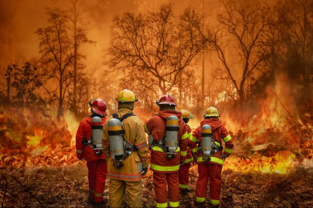 Firefighters team battle a wildfire because climate change and global warming is a driver of global wildfire trends. Firefighters team battle a wildfire because climate change and global warming is a driver of global wildfire trends.