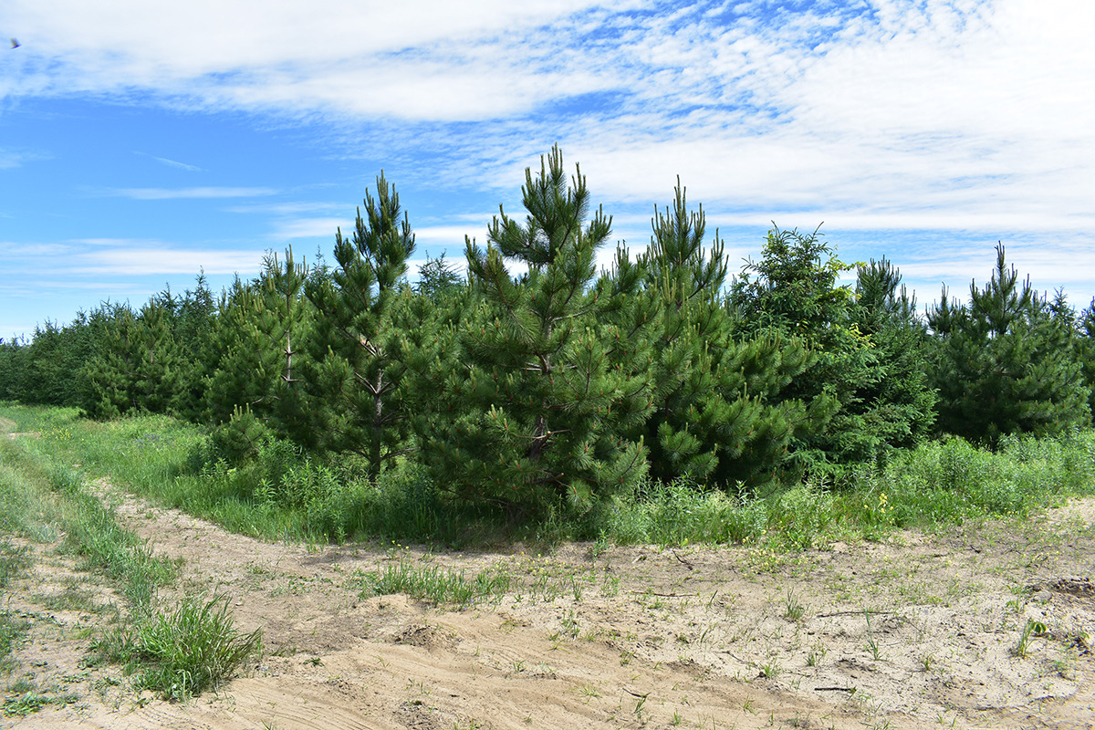 subscription photo 3 desc subscription photo 3 desc